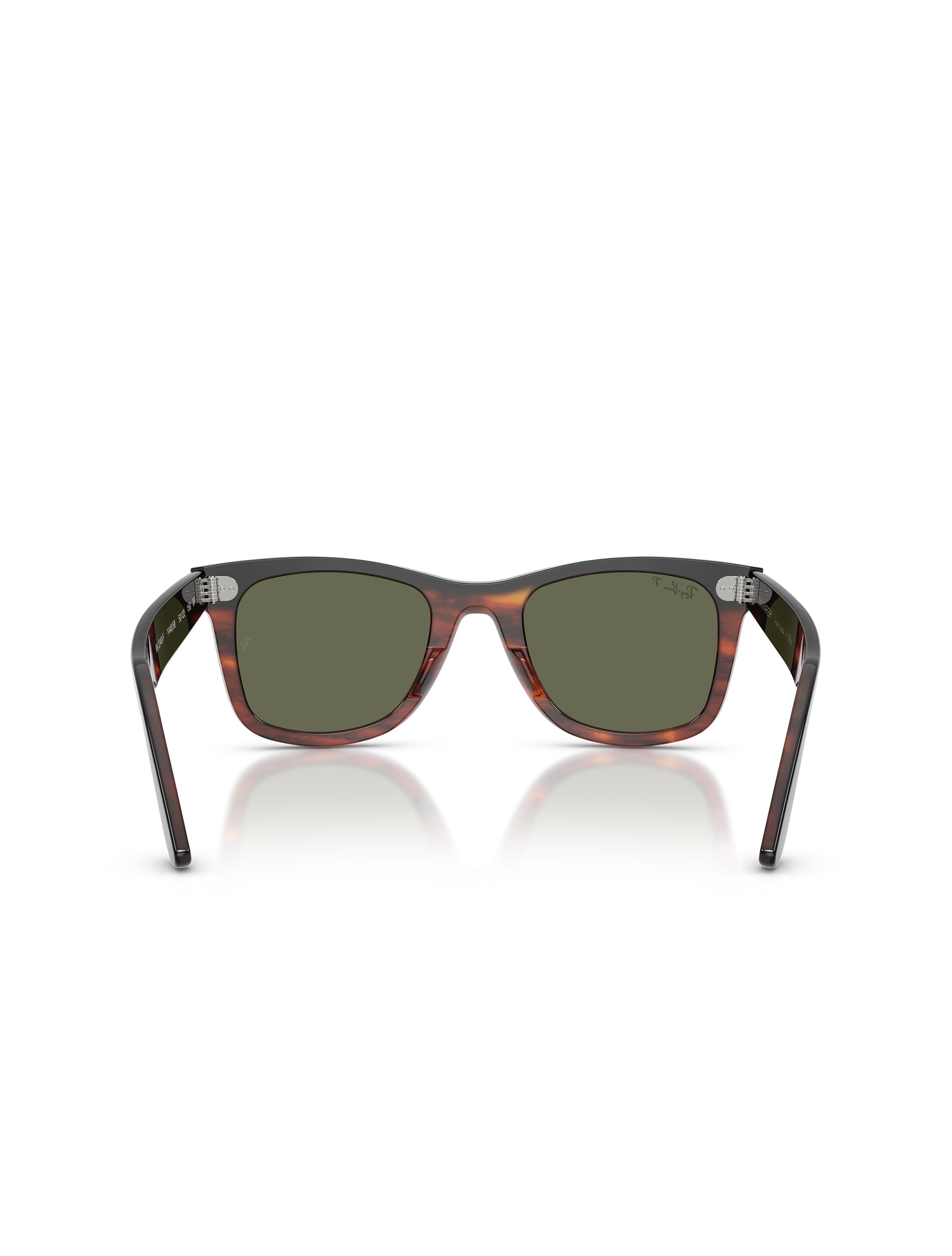 Ray-Ban Wayfarer Street Neat Sunglasses - Black on Havana/Polar Green